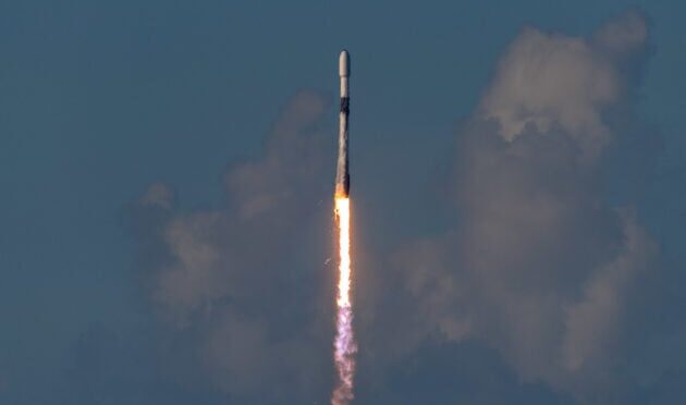 17586230231515659503