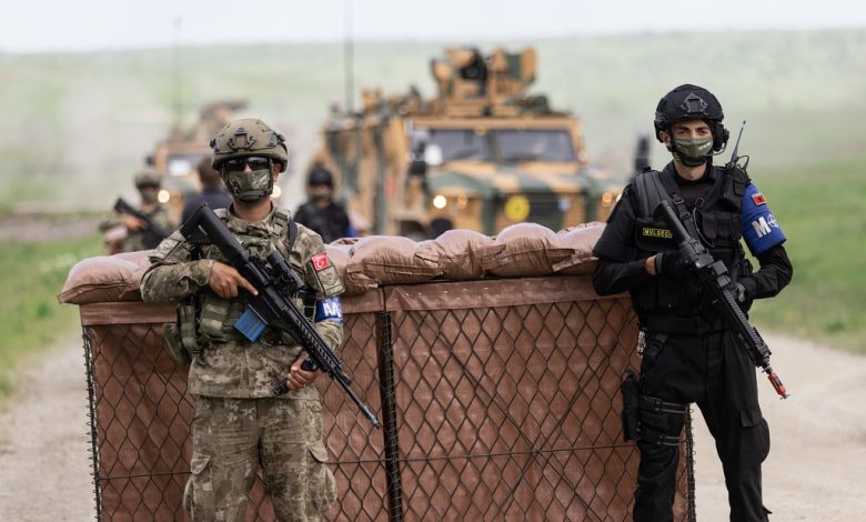 17677907241866547940