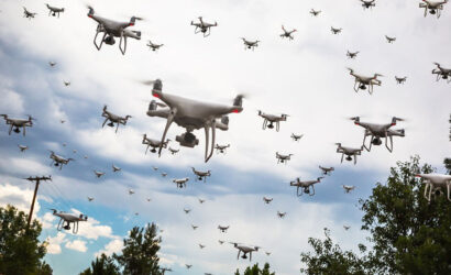 17701273221348896038