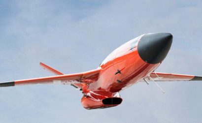 17708858931930866511