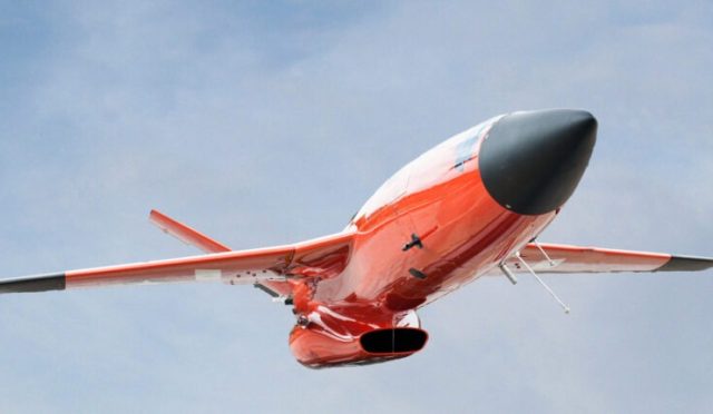 17708858931930866511