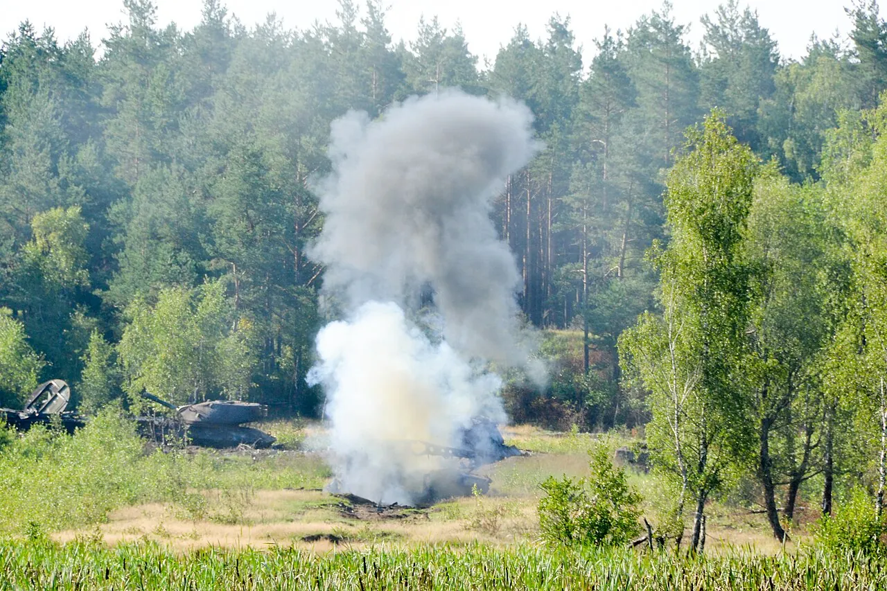 Bundeswehr 23 Rheinmetall Büffel Kurtarma Tankı Sipariş Etti 2 Bundeswehr 23 Rheinmetall Büffel Kurtarma Tankı Sipariş Etti