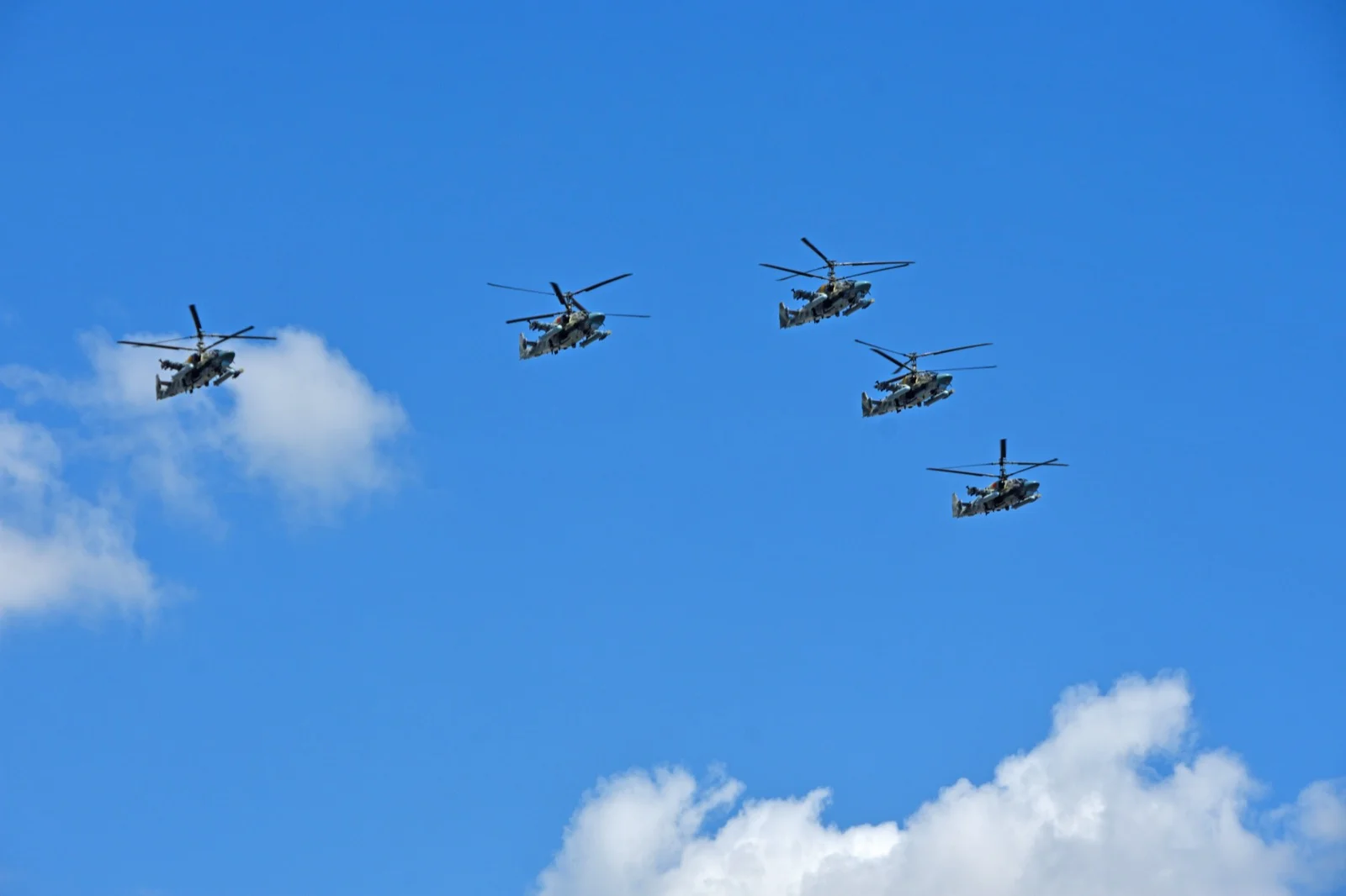 Kamov Ka-52 Alligator taarruz helikopteri