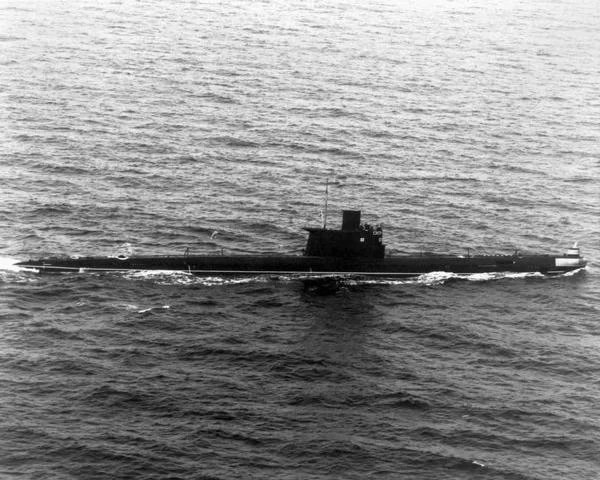 Naval elements of North Korea