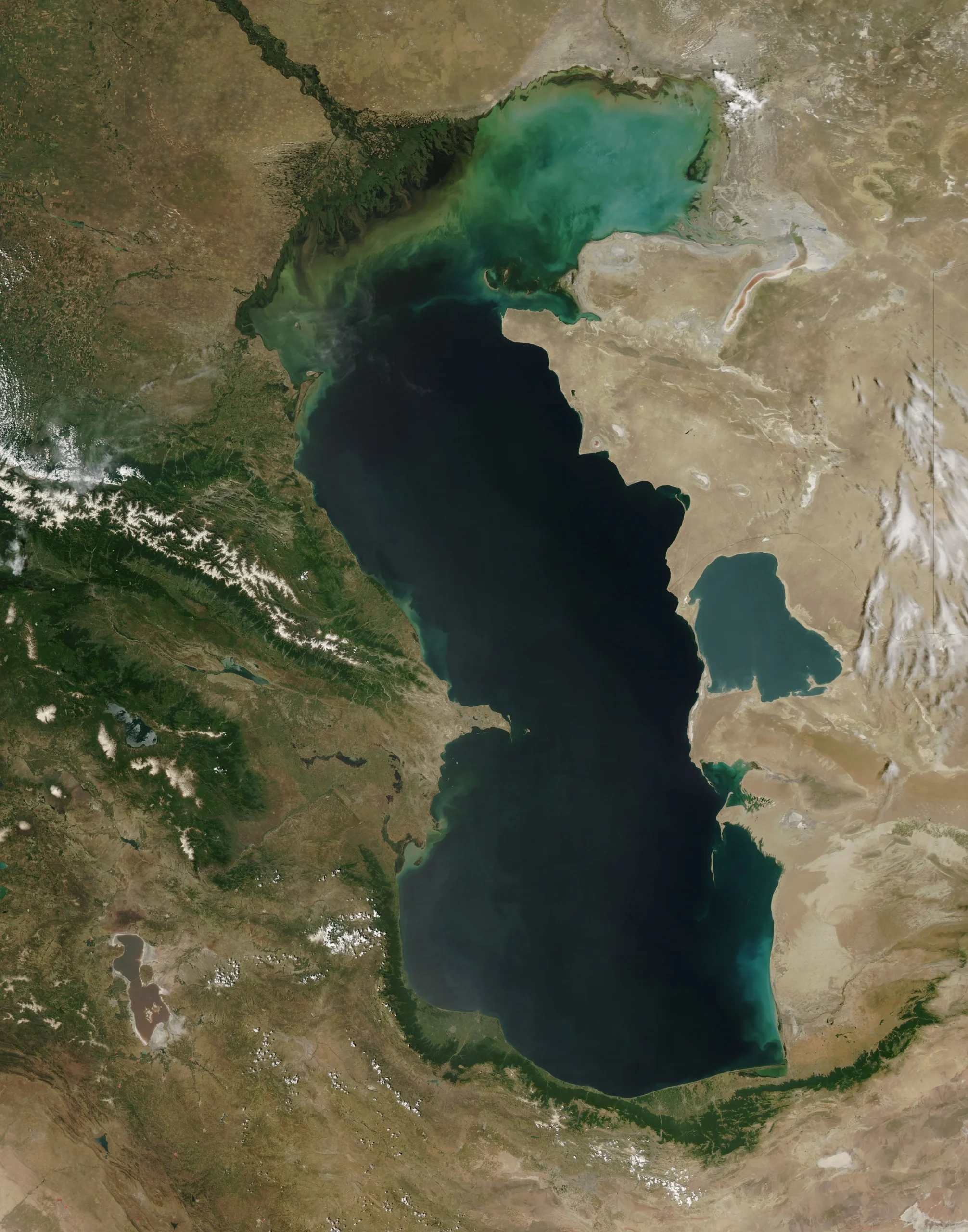 Türkmenistan deniz kuvvetlerinin unsurları