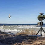 ABD Ordusu 50’den fazla şirketin drone savunma sistemini denedi