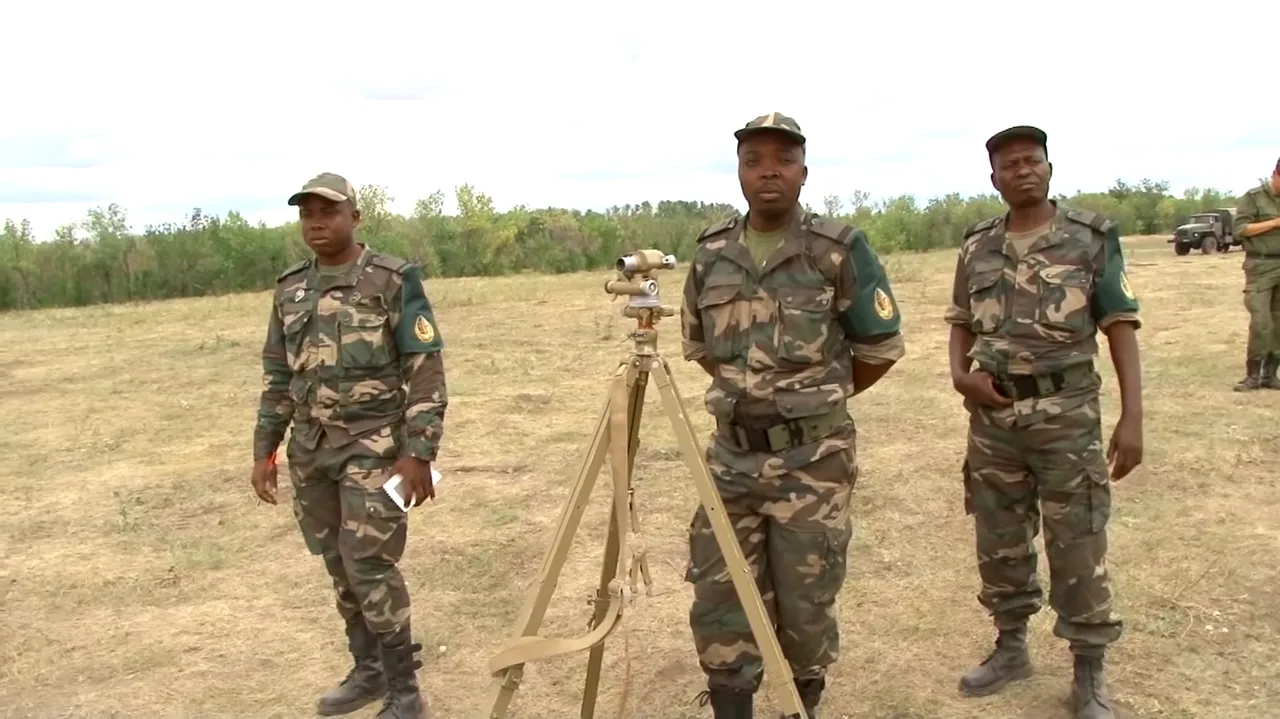 Angola ordusunun kara unsurları