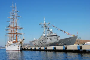 ¿Qué sistemas nacionales lleva el TCG Gemlik (F-492)?