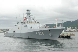 Какие отечественные системы установлены на TCG Kınalıada (F-514)?