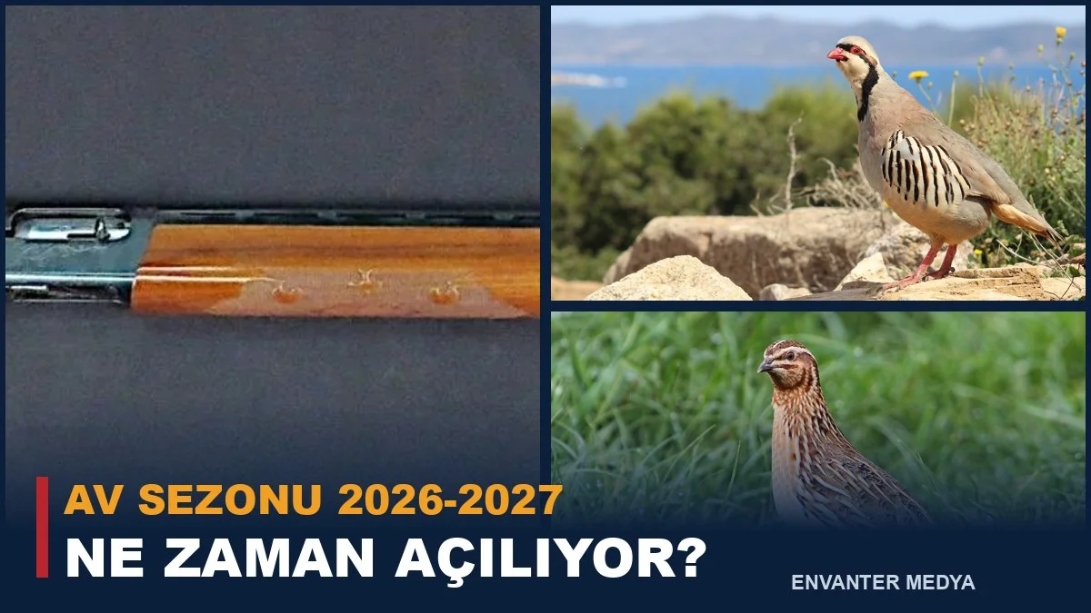 Av Sezonu 2026-2027 Ne Zaman Açılıyor, Ne Zaman Bitiyor? MAK Kararı ve Avlanma Takvimi