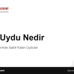 GEO Uydu Nedir? Dünya’nın Üzerinde Sabit Kalan Uydular