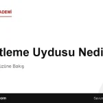 Gözetleme Uydusu Nedir? Uzaydan Yeryüzüne Bakış