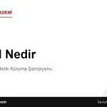 KIRPI Nedir? Türkiye’nin Balistik Koruma Şampiyonu
