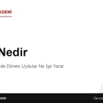 LEO Nedir? Alçak Yörüngede Dönen Uydular Ne İşe Yarar?