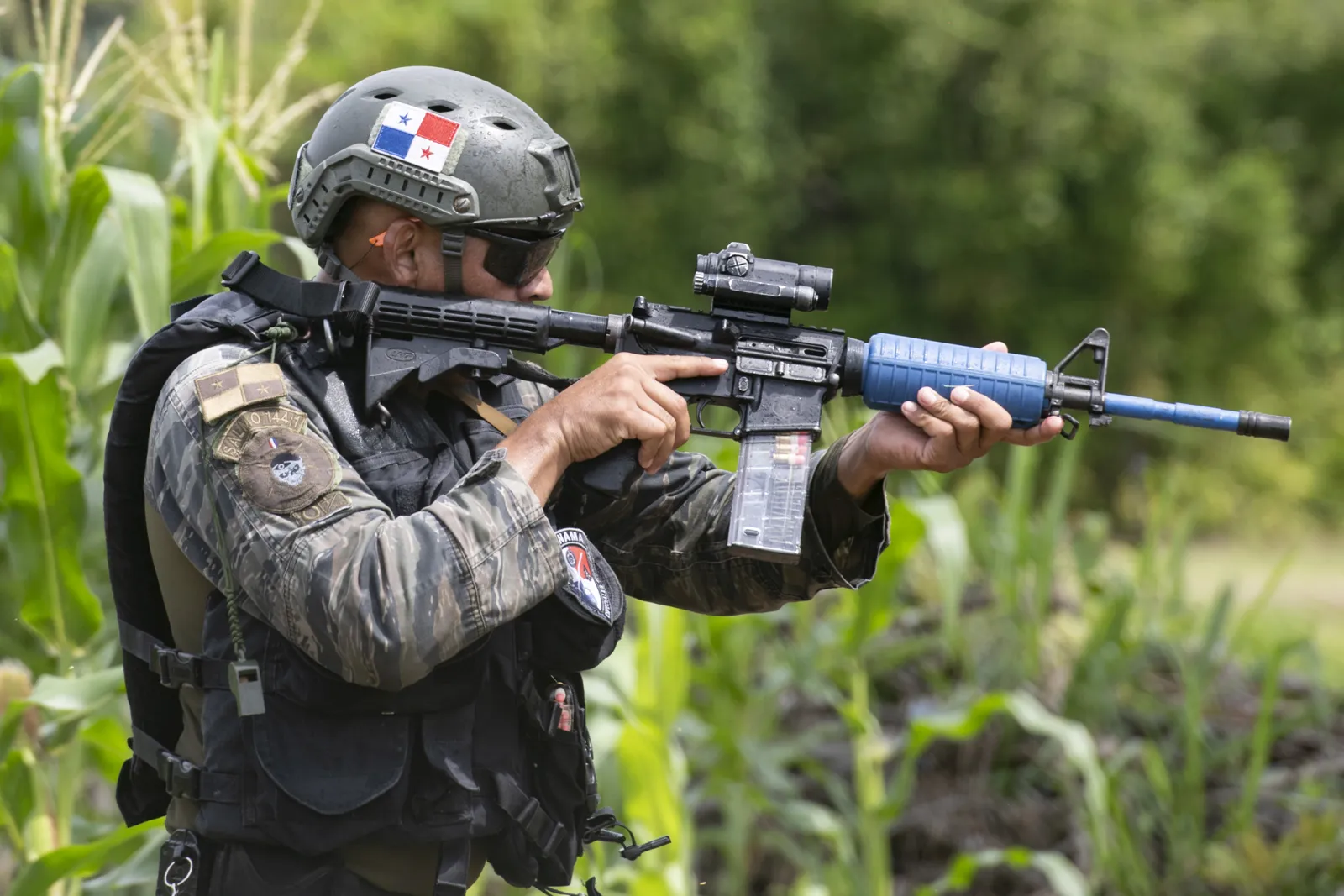 Panama ordusunun kara unsurları
