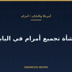 أمريكا واليابان تتفقان على منشأة لتجميع صاروخ أمرام في اليابان