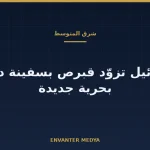 إسرائيل تزوّد قبرص بسفينة دورية جديدة: ما المؤكد وما غير المعلن في الصفقة