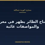 كوريا الشمالية تكشف طائرة مسيّرة بتصميم الجناح الطائر: ما المعروف وما المجهول