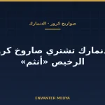ما هو صاروخ كروز منخفض التكلفة؟ الدنمارك تشتري «أنثم» وتفتح بابًا جديدًا