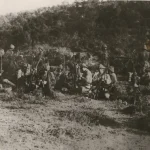 Dedem Şehit mi, Nasıl Öğrenilir? Alt-Üst Soy ve Şehit Bilgi Kapısı ile 5 Adım